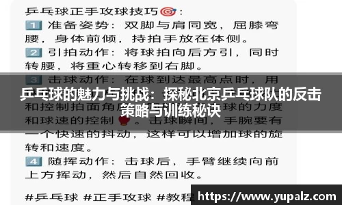 乒乓球的魅力与挑战：探秘北京乒乓球队的反击策略与训练秘诀
