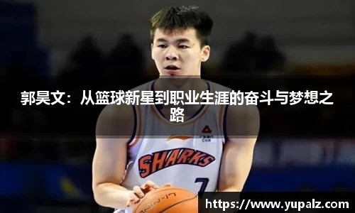 南宫NG28