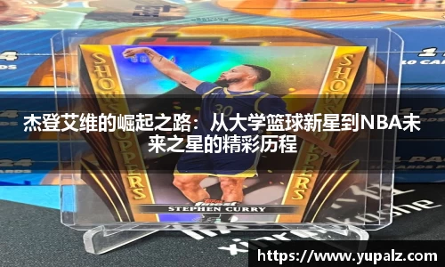 南宫NG28